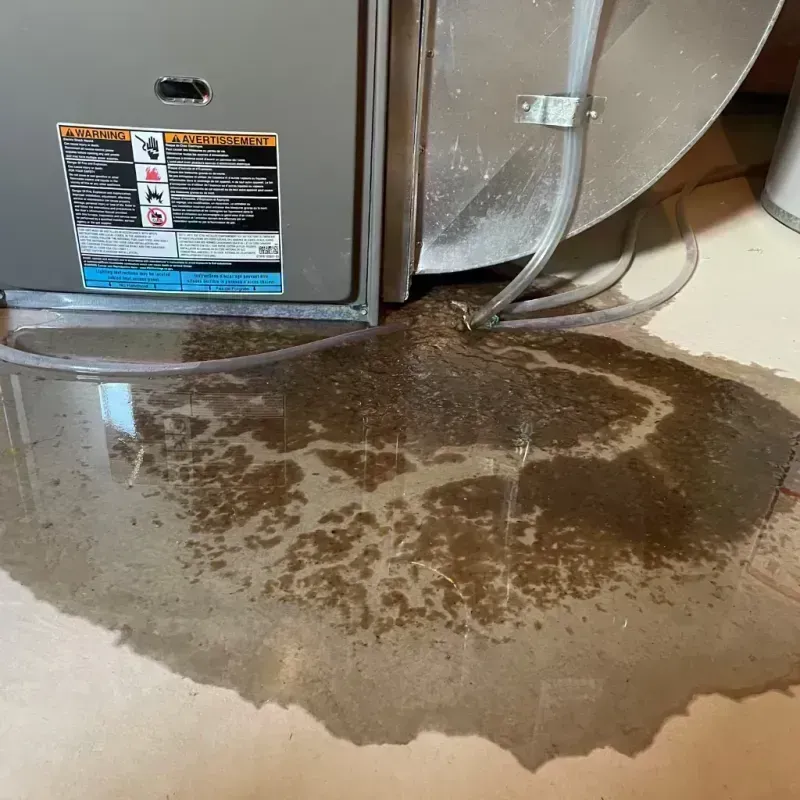 Appliance Leak Cleanup in Fruita, CO